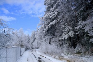 klepacov_21